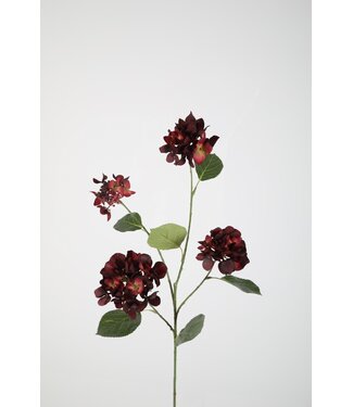 Hydrangea Spray 80cm