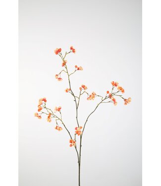 Bittersweet 92cm zalm