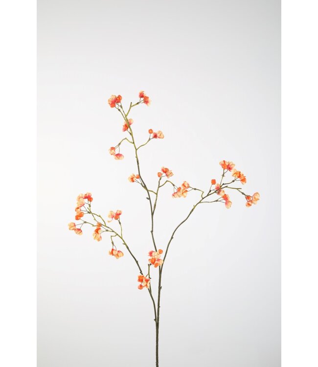 Bittersweet 92cm zalm