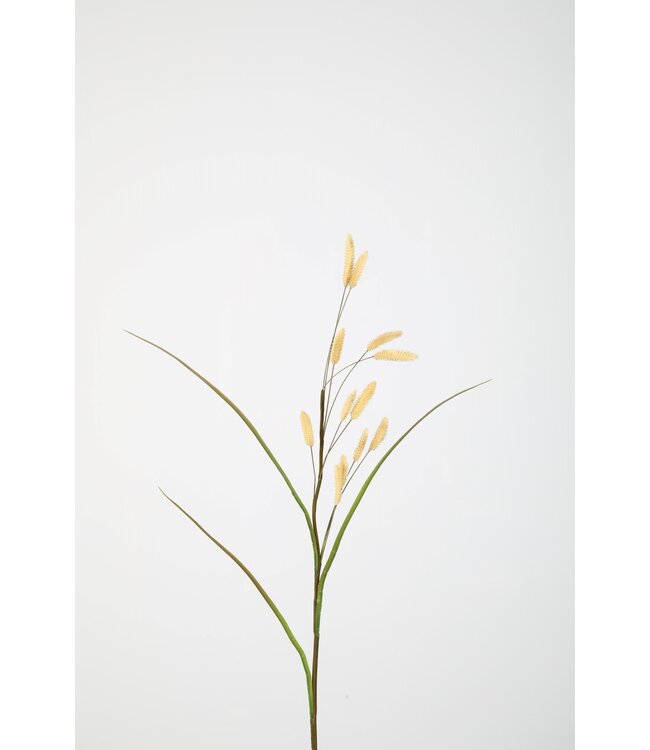 Dried Bunny Tails Spray 114cm naturel
