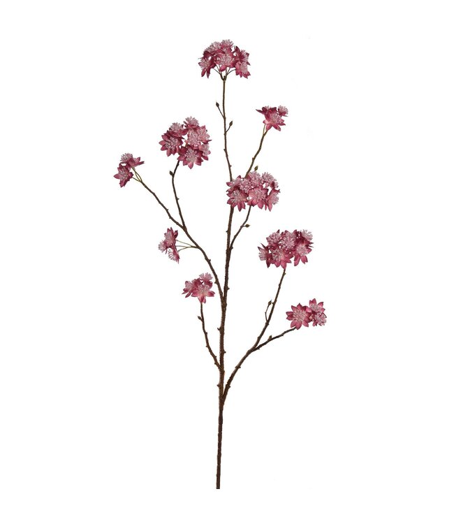 Large astrantia branch 110cm burgundy