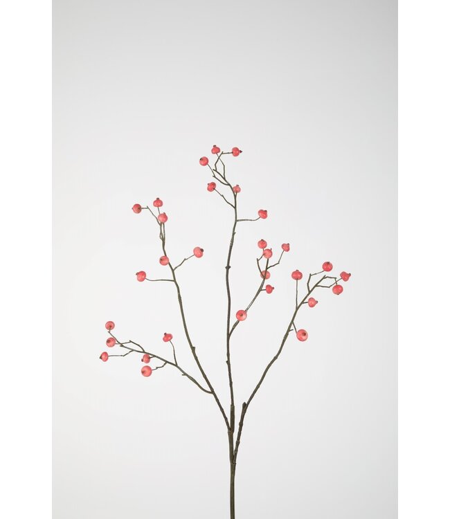 Rosehip Spray 82cm pink