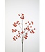 Berries Spray 115cm oranje