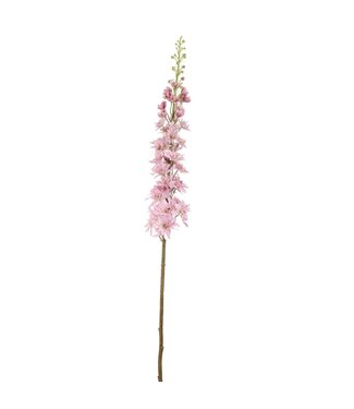 DELPHINIUM 135CM  PINK