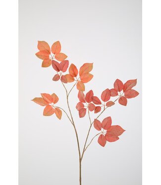 Schefflera Spray 110cm pe