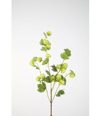 Hop Spray 102cm
