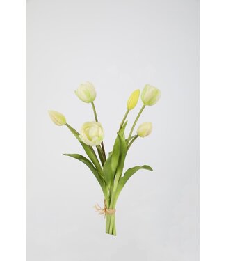 Tulp 41cm creme knop open
