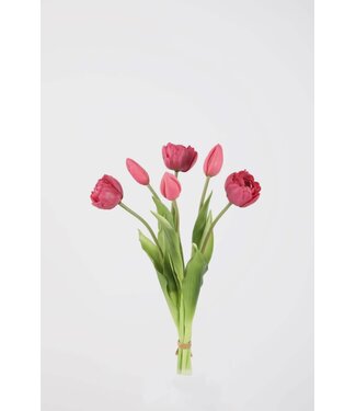Tulp 41 cm fuchsia knop dicht