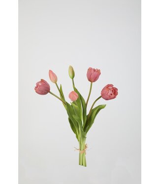 Tulp 41 cm mauve knop dicht