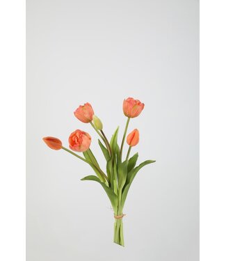 Tulp 41 cm zalm knop open