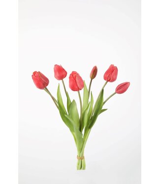 Tulp 41 cm warmrose  knop open