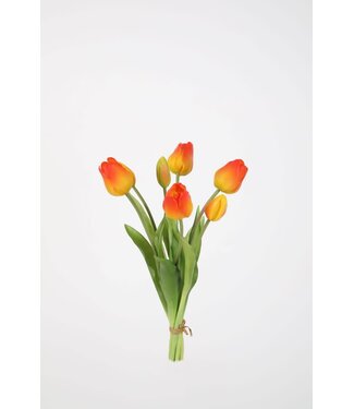 Tulp 41 cm oranje  knop open