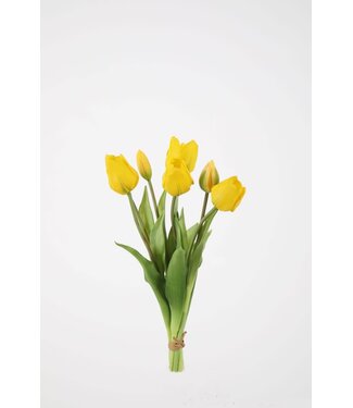 Tulp 41 cm geel knop dicht