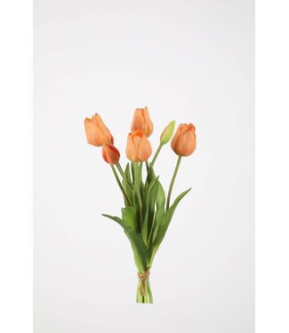 Tulp 41 cm zalm knop dicht