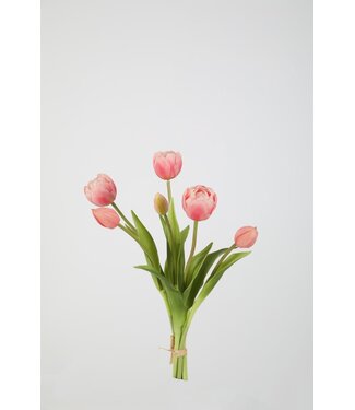 Tulp 41 cm lichtrose  knop dicht