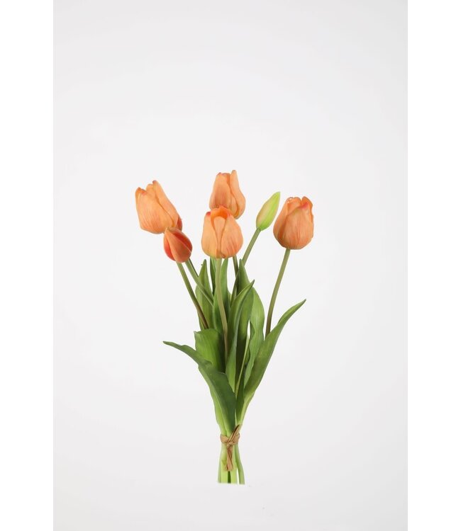 Tulp 40 cm zalm knop open