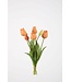 Tulp 40 cm zalm knop open