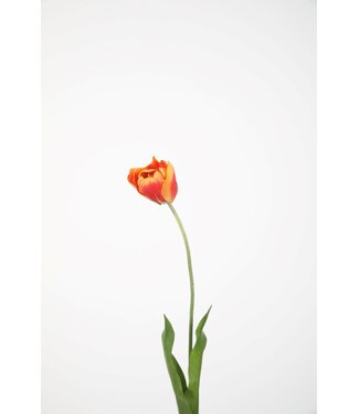 Tulp geel/oranje 74 cm