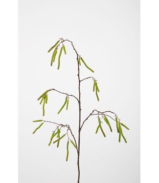 Catkins Branch 100 cm