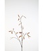 Bean Stalk Stem 110cm