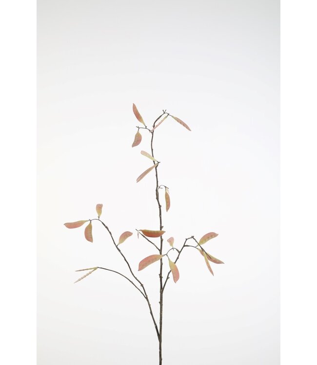 Bean Stalk Stem 110cm