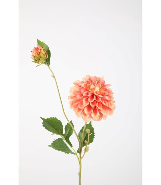 Dahlia Stem 69cm dia 10cm
