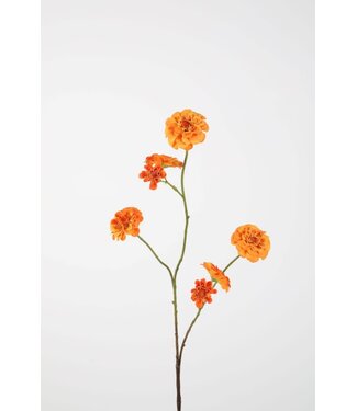 Zinnia Spray 88cm oranje