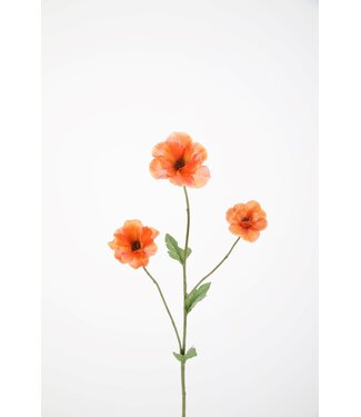 Ranunculus Spray 61cm zalm