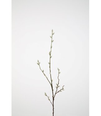 Pussy Willow Branch 107cm
