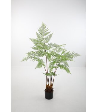 Oriental Fern Plant 157cm UV