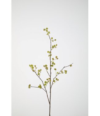 Elm Seeds Stem 84cm
