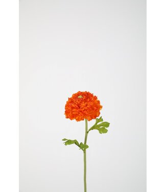 Ranonkel oranje  59 cm