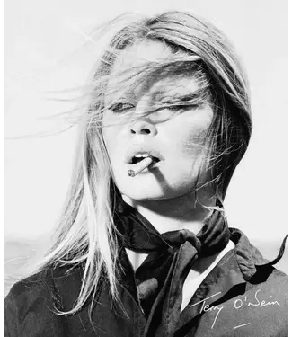 Terry O'Neill, The Opus