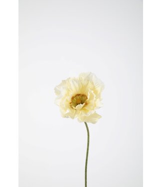 Poppy Single Stem 78cm creme