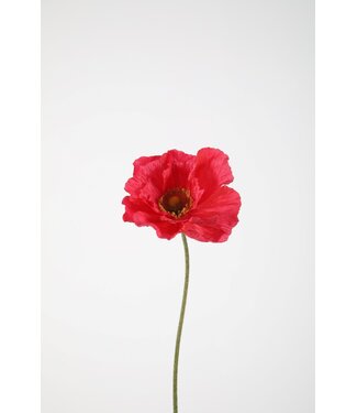 Poppy Single Stem 78cm hpk