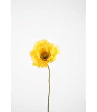 Poppy Single Stem 78cm geel