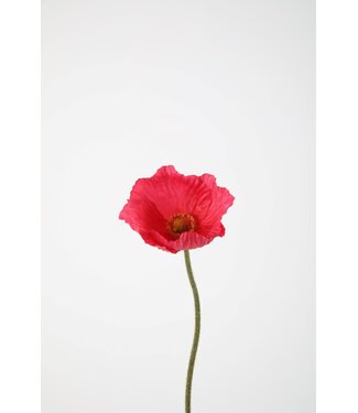 Poppy Single Stem 61cm