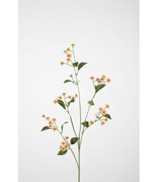 Matricaria Spray 87cm lichtrose