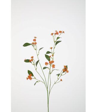 Matricaria Spray 87cm oranje