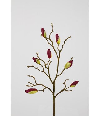 Magnolia Tree Bud Stem 86cm purple