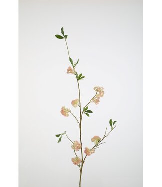 Flowering Sedum Spray 143cm