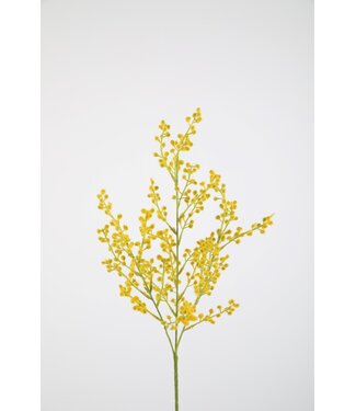 Mimosa Spray 70cm