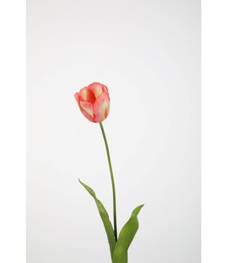Tulp 74 cm geel/oranje