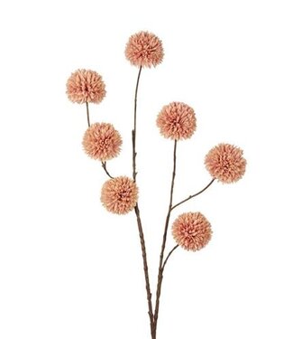 Pompom 98 cm champagne