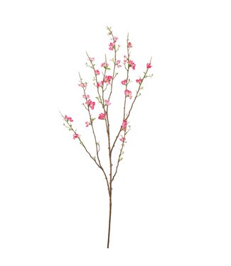 LARGE BLOSSOM 130CM BEAUTY