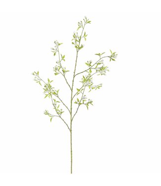 PEACH BLOSSOM 142CM CREAM