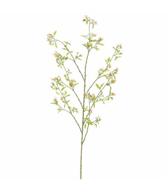 PEACH BLOSSOM 142CM PEACH