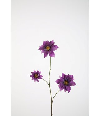 Clematis Spray 89cm paars