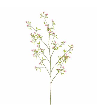 PEACH BLOSSOM 142CM PINK