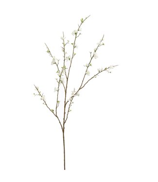 LARGE BLOSSOM 130CM CREAM